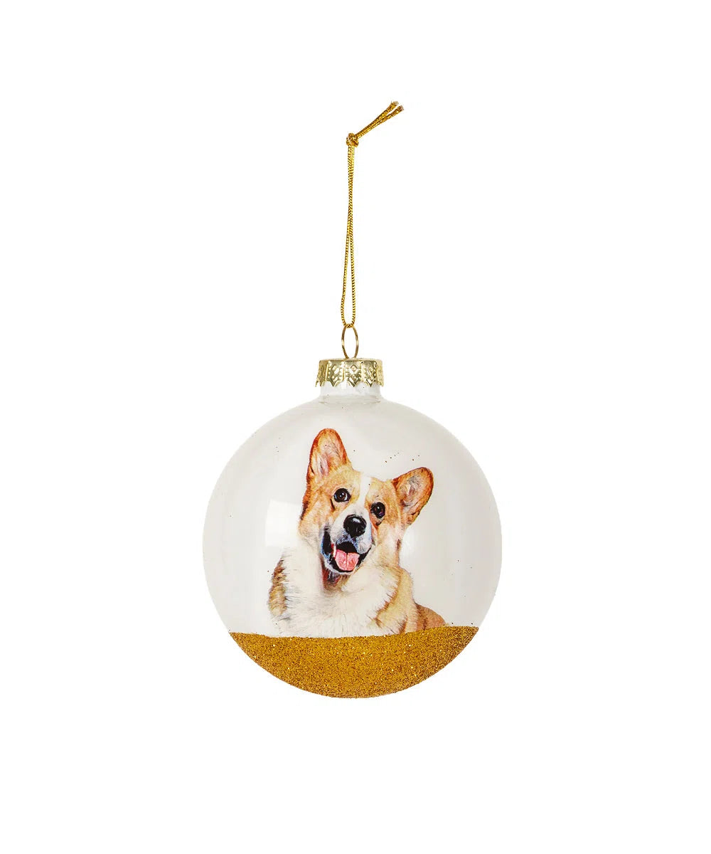 Pet Centric Accessories Load | Request Our Sale Price (per pallet available)