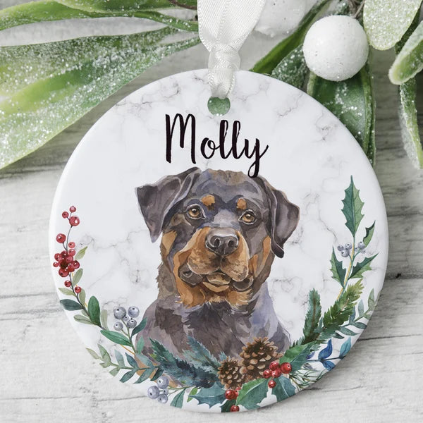 Pet Centric Accessories Load | Request Our Sale Price (per pallet available)